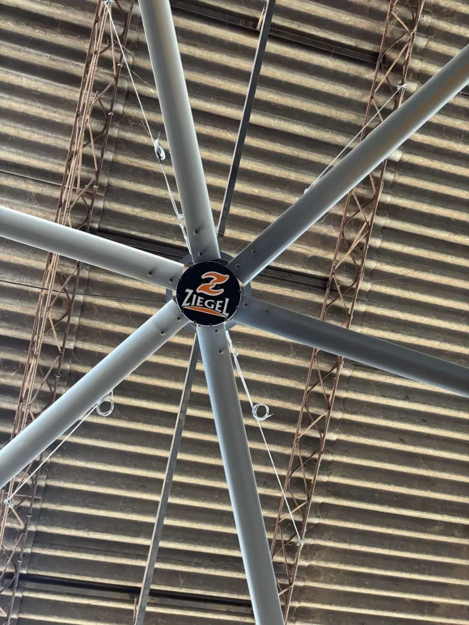 photo_2026-03-31_09-19-48