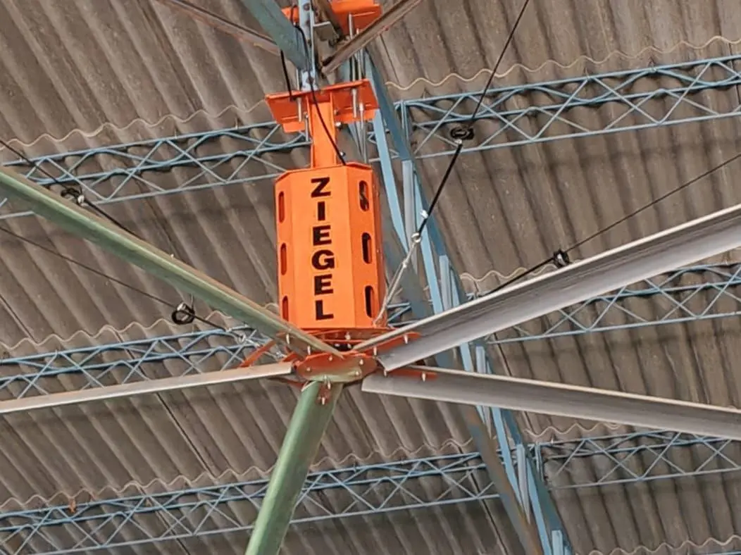 photo_2026-03-31_09-19-55